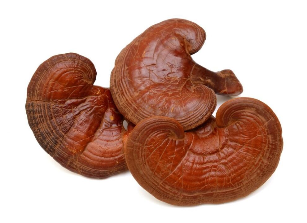 A Weiprost reishi gombát tartalmaz