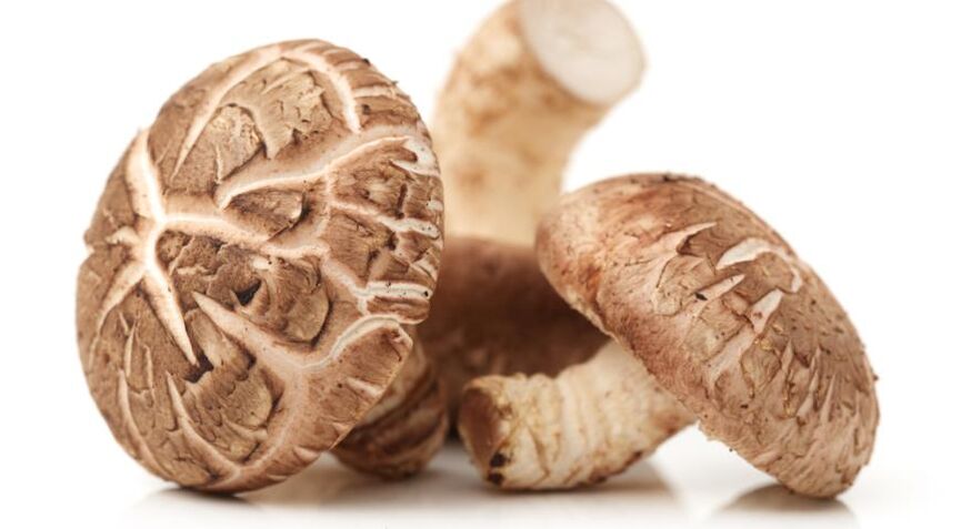 A Weiprost shiitake gombát tartalmaz